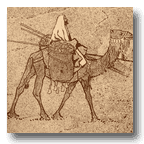 The United States and the Middle East: 1914 to 9/11 by Salim Yaqub
