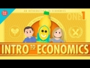 Economics Crash Course by Adriene Hill