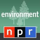 NPR: Environment Podcast