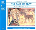 The Tale of Troy by Benedict Flynn