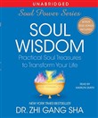 Soul Wisdom by Zhi Gang Sha
