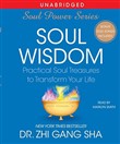 Soul Wisdom by Zhi Gang Sha