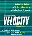 Velocity: A Business Novel by Dee Jacob
