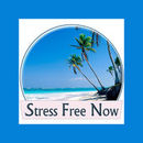 Stress Free Now Podcast by Robert Wright, Jr.