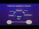 The Case For and Against Food Addiction by Robert H. Lustig