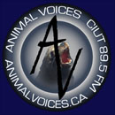 Animal Voices Podcast by Lauren Corman