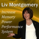Increase Memory Power Performance System by Liv Montgomery