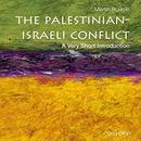 Palestinian-Israeli Conflict by Martin Bunton