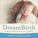 DreamBirth: Imagery for Conception, Pregnancy, Labor, and Bonding by Catherine Shainberg