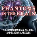 Phantoms in the Brain by V.S. Ramachandran