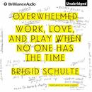Overwhelmed: Work, Love, and Play When No One Has the Time by Brigid Schulte