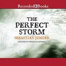 The Perfect Storm: A True Story of Men Against the Sea by Sebastian Junger