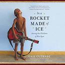 In a Rocket Made of Ice by Gail Gutradt