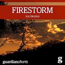 Firestorm: Surviving the Tasmanian Bushfire by Jon Henley