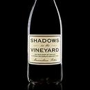 Shadows in the Vineyard by Maximillian Potter