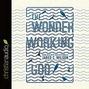 The Wonder-Working God by Jared C. Wilson