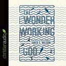 The Wonder-Working God by Jared C. Wilson