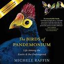 Birds of Pandemonium by Michele Raffin