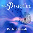 The Practice by Barb Schmidt