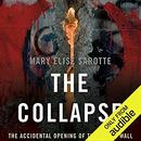 The Collapse: The Accidental Opening of the Berlin Wall by Mary Elise Sarotte