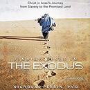 Finding Jesus in the Exodus by Nicholas Perrin