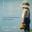 Two Thousand Minnows by Sandra Leigh Vaughan