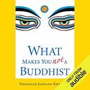 What Makes You Not a Buddhist by Dzongsar Jamyang Khyentse