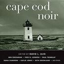 Cape Cod Noir by David Ulin