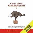 How to Train a Wild Elephant & Other Adventures in Mindfulness by Jan Chozen Bays
