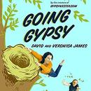 Going Gypsy: One Couple's Adventure from Empty Nest to No Nest at All by David James