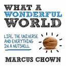 What a Wonderful World by Marcus Chown