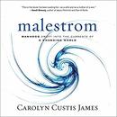 Malestrom: Manhood Swept into the Currents of a Changing World by Carolyn Custis James