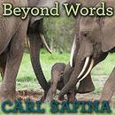 Beyond Words: What Animals Think and Feel by Carl Safina