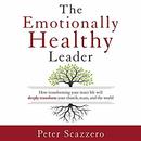 The Emotionally Healthy Leader by Peter Scazzero