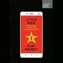 Little Rice: Smartphones, Xiaomi, and the Chinese Dream by Clay Shirky