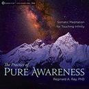 The Practice of Pure Awareness by Reginald A. Ray