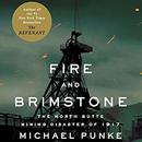 Fire and Brimstone: The North Butte Mining Disaster of 1917 by Michael Punke