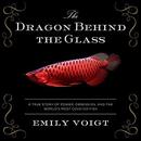 The Dragon Behind the Glass by Emily Voigt