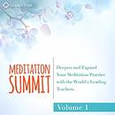 The Meditation Summit: Volume 1 by Reginald A. Ray