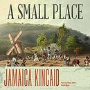 A Small Place by Jamaica Kincaid