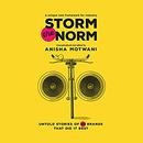 Storm the Norm: Untold Stories of 20 Brands That Did It Best by Anisha Motwani