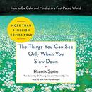 The Things You Can See Only When You Slow Down by Haemin Sunim