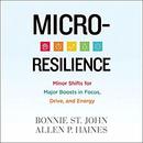 Micro-Resilience by Bonnie St. John