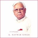 One Life Is Not Enough by K. Natwar Singh