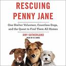 Rescuing Penny Jane by Amy Sutherland