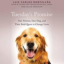 Tuesday's Promise by Luis Carlos Montalvan