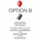 Option B: Facing Adversity, Building Resilience, and Finding Joy by Sheryl Sandberg