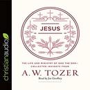 Jesus: The Life and Ministry of God the Son by A.W. Tozer