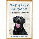 The Grace of Dogs by Andrew Root