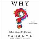 Why?: What Makes Us Curious by Mario Livio